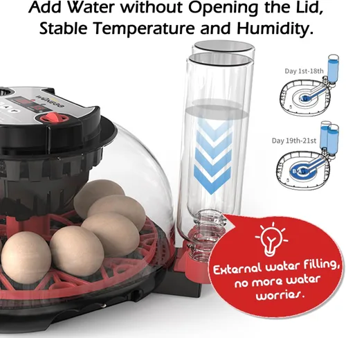 Miniatura 4 de Incubadoras inteligentes de pollo para incubar huevos con volteador automático, aves, pato, codorniz, 12 huevos, incubadora de control de M12 Pro