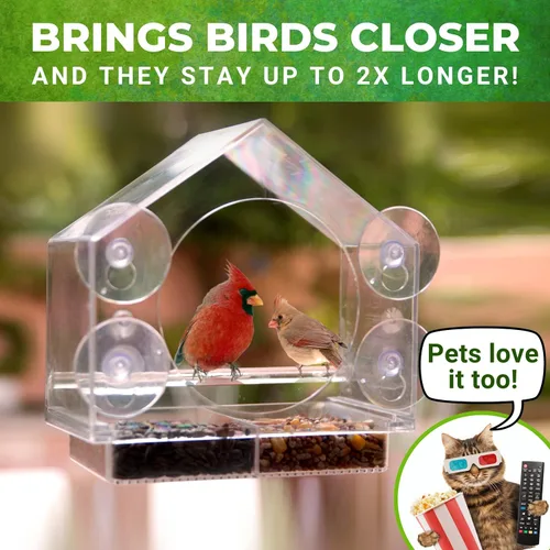 Miniatura 3 de Nature Anywhere Comedero para pájaros de ventana – Comedero acrílico transparente para pájaros para exteriores – Agarre de succión mejorado