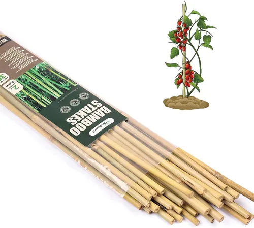 Cambaverd Varillas de bambú para plantas, estacas de bambú de 2 pies para jardinería interior, estacas para plantas en maceta, mini árboles, estacas
