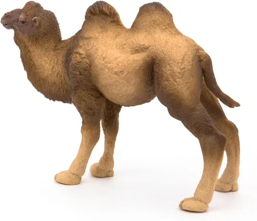 Miniatura 11 de Papo - Figura realista de camello bactriano para niños - A partir de 3 años - Colección Wild Life - Animales exóticos educativos - Juguete de idea