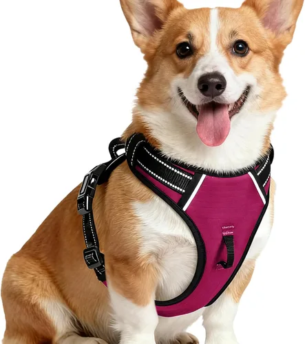 Miniatura 19 de Arnés para perro sin tirones, chaleco reflectante ajustable y acolchado para mascotas con asa de fácil control, fácil de llevar con nudo elegante