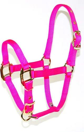 Miniatura 20 de Hamilton Caballo de lujo Halter, nailon de triple capa de 3/4 pulgadas con correa ajustable para la barbilla, potro o mini caballo, 100-200 libras