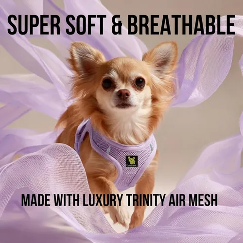 Miniatura 3 de EcoBark Arnés para Perros de Calidad Premium con Paso - Arneses para Perros Teacup - Arnés Perfecto para Cachorros - Chaleco de Malla Suave de Lujo