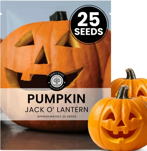 Jack-O'-Lantern - Semillas de calabaza – 25 semillas premium para plantar – Talla clásica y cosecha de otoño variedad para la temporada 2026 – Bolsa