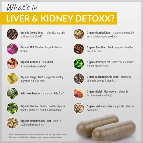 Miniatura 7 de Organixx Suplemento de limpieza de apoyo para el riñón y el hígado, fórmula herbaria Reishi de cardo mariano para salud digestiva, salud renal e