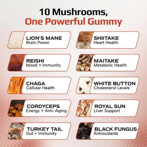 Miniatura 3 de Effective Nutra Gomitas de hongos de 2500 mg – Melena de León 10 en 1, Reishi, Chaga, Cordyceps y más – Enfoque, claridad, memoria, inmunidad