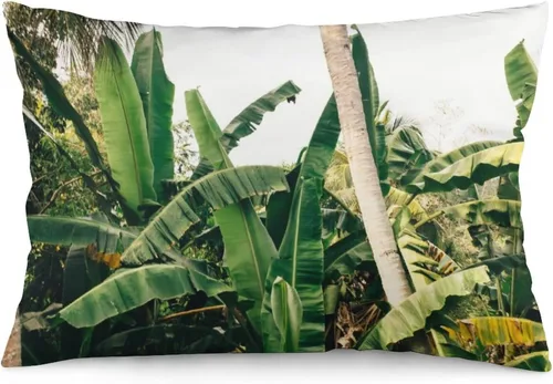 Miniatura 25 de Protector de almohada de playa con palmeras tropicales de 16 x 14 pulgadas, palmeras de playa, paisaje marino costero, decorativo, rectangular