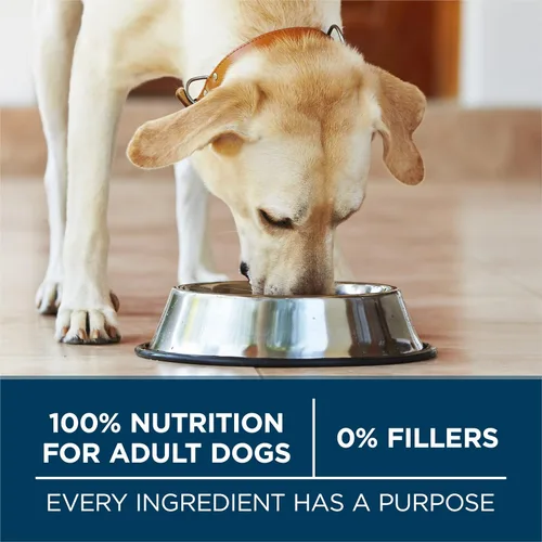 Miniatura 9 de Purina ONE Plus - Fórmula seca de alimento para perros adultos de raza grande, rico en proteínas, sabor natural de pollo – bolsa de 40 libras