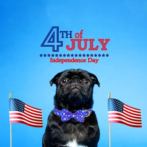 Miniatura 2 de Collar de perro con corbatín para el 4 de julio, collar patriótico ajustable para perros pequeños, medianos y grandes Paleta de bandera B