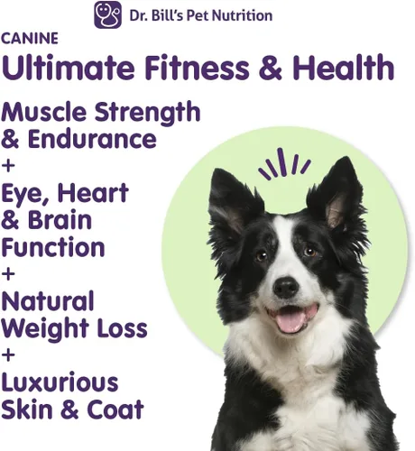 Miniatura 2 de Dr. Bill's Canine Ultimate Fitness & Health - Multivitamínico diario para perros para energía, longevidad y apoyo de todo el cuerpo - Suplemento