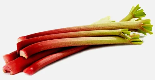 Miniatura 5 de Semillas de ruibarbo para plantar Pie Plant Rheum Australe Aproximadamente 50 semillas