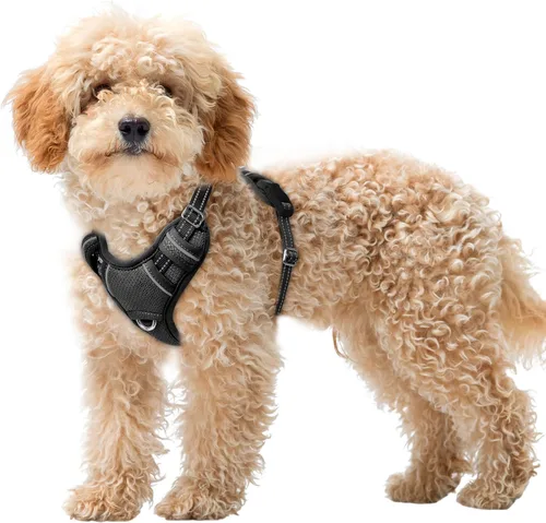 Miniatura 93 de BARKBAY Arnés para Perro Sin Tirones Talla Grande Arnés Reflectante para Perro con Clip Frontal y Asa de Control Fácil para Caminar Entrenar Correr