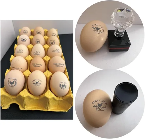 Miniatura 5 de Sellos personalizados de huevo de pato para huevos frescos con tinta de secado rápido, sellos personalizados de cartón de huevos de 0.65/0.8/1