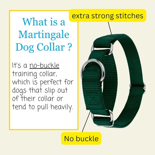 Miniatura 5 de Country Brook Petz - Collar Martingale para perro - Collar de entrenamiento resistente sin hebilla - Collar para perros de servicio para todos