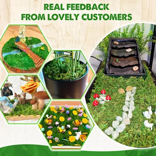 Miniatura 8 de DUSPRO Musgo Verde Mejorado para Manualidades, Musgo Real de Bosque en Plantas en Maceta, Musgos Decorativos para Centros de Mesa de Boda, Navidad