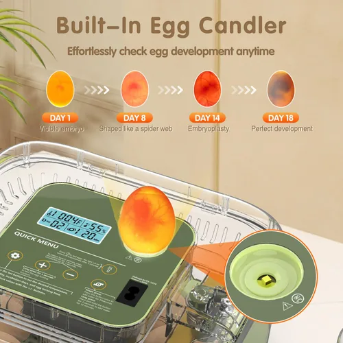 Miniatura 5 de HOWOOlUA - Incubadora de huevos para incubar huevos con giro automático, control de temperatura y humedad, incubadora de huevos integrada de gran