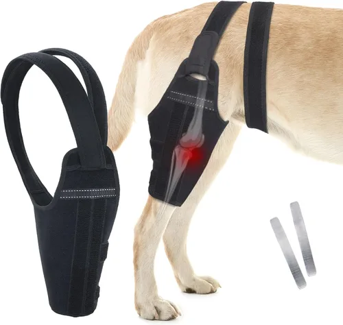 Miniatura 9 de Rodillera para perro para pierna trasera desgarrada del ligamento cruzado anterior – Soporte de pierna de perro para pierna trasera con 2 Pierna