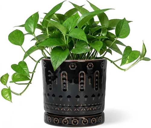 Miniatura 32 de Maceta de Cerámica Eightpot - Maceta de 20 cm para Interior con Agujeros de Drenaje y Platillo, Maceta Redonda para Exterior, Maceta Moderna de Azul