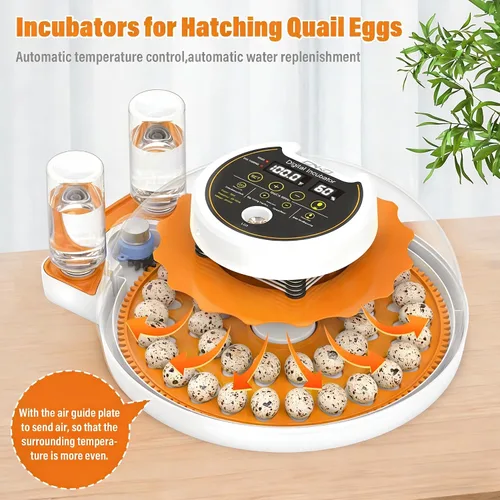 Miniatura 2 de Quail Egg Incubator with Automatic Turner and Humidity Control,Bird Incubator Capable of Hatching 40 Quail Eggs, Poultry Egg Incubators with an