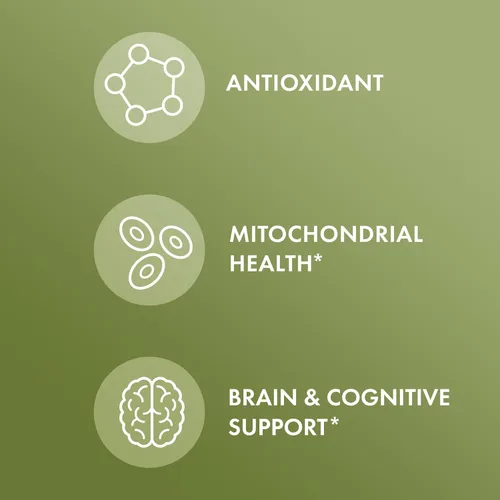 Miniatura 4 de Dr. Mercola Ginkgo Biloba orgánico con NeuroFactor - Apoya la salud cerebral - Extracto de hoja de ginkgo estandarizado - Fruta de café rica