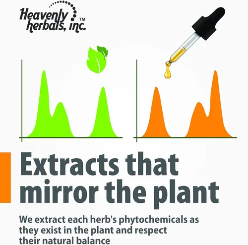 Miniatura 7 de Heavenly Herbals, Inc. Carduus Marianus Q - Tintura homeopática - Apoya la función hepática, vesícula biliar y páncreas. Ayuda