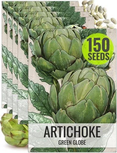 Miniatura 11 de Seed Needs Semillas de espárragos para plantar espárragos Mary Washington, semillas de vegetales perennes sin OMG y sin tratar para plantar un