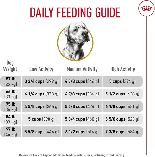 Miniatura 7 de Royal Canin Breed Health Nutrition Labrador Retriever - Alimento seco para perros adultos, bolsa de 5 libras