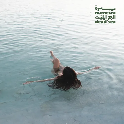 Miniatura 6 de Dead Sea - Remojamiento de baño de escamas de magnesio 100% puro con aceite esencial infundido de romero (bolsa de 8.82 onzas)