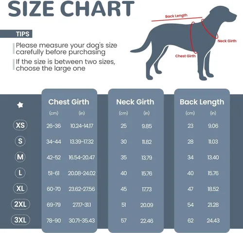 Miniatura 6 de Soporte de espalda para perro para IVDD y recuperación espinal, chaleco de apoyo transpirable ajustable para perro, protector lumbar para perros