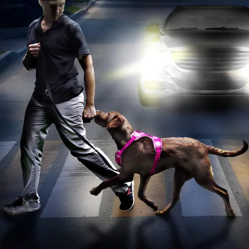 Miniatura 6 de Arnés para perro que brilla en la oscuridad recargable por USB (rosa, L)