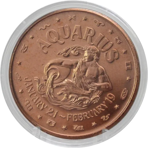 Ficha portadora de agua de acuario: moneda de desafío de cobre puro de 1 oz en cápsula - Regalo de astrología y zodiaco, perfecto para visionarios -