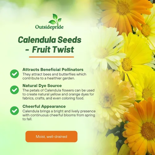 Miniatura 3 de Outsidepride Fruit Twist - Semillas de caléndula – 100 semillas anuales comestibles de flores para plantar para platos y usos de bienestar
