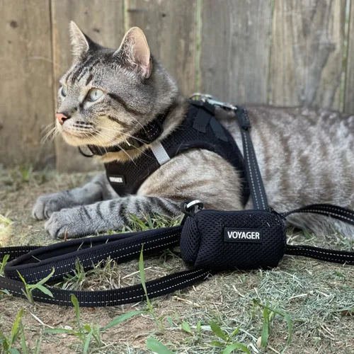 Miniatura 8 de Best Pet Supplies Voyager Step-in Air Arnés – Malla para todo clima, reflectante, arnés antitirones para perros y gatos, seguro con cierre de gancho