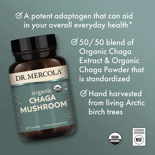 Miniatura 4 de Dr. Mercola Hongos Chaga orgánicos - Apoyo inmunológico - Mezcla adaptogénica con extracto de chaga y polvo de chaga - USDA Organic - Sin gluten