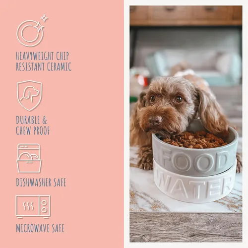 Miniatura 3 de Park Life - Cuencos de cerámica para mascotas, cuencos para alimentos y agua para perros y gatos, lindo cuenco para mascotas para perros y gatos Gris