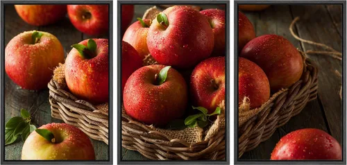 Miniatura 9 de wall26 Lienzo enmarcado para pared, juego de arte de hierbas, verduras y condimentos en madera, alimentos, fotografía cultural, realismo, paisaje