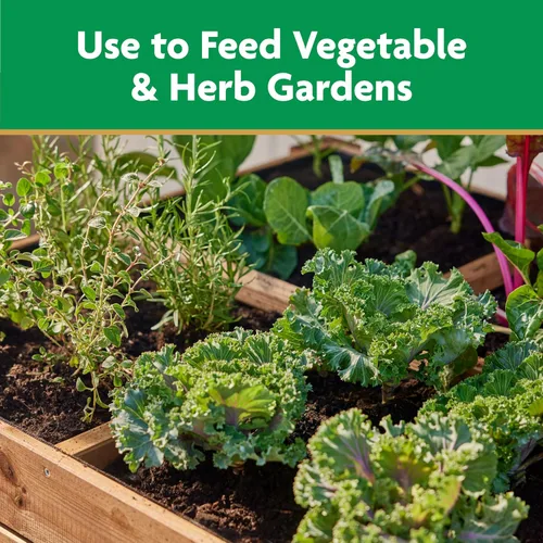 Miniatura 6 de Miracle-Gro Alimento vegetal soluble en agua, verduras y hierbas, 2 libras, paquete de 2