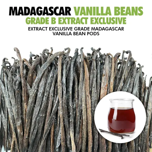 Miniatura 3 de 55 Vainas de vainilla de Madagascar orgánicas de grado exclusivo B para extracto 4" - 5" por FITNCLEAN VANILLA Cápsulas secas enteras de Bourbon