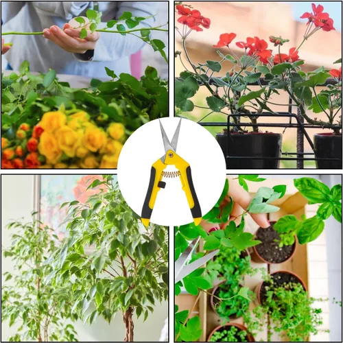 Miniatura 7 de Paquete de 20 tijeras de podar de jardín de 6.5 pulgadas, podadora manual con cuchillas de acero inoxidable, tijeras de jardinería de punta afilada