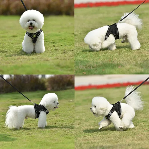 Miniatura 7 de Juego de arnés y correa para perros pequeños, arnés reflectante ajustable sin tirones, arnés transpirable suave para cachorros, perros pequeños