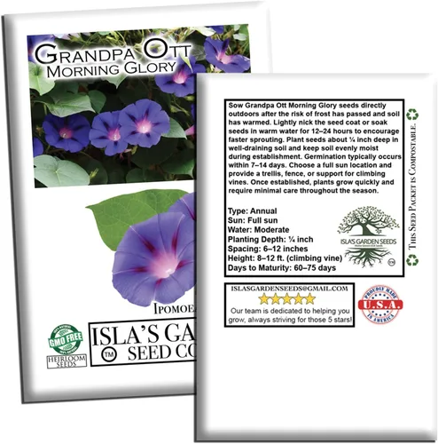 Miniatura 6 de Grandpa OTT Morning Glory Seed, 50 semillas de flores por paquete, (semillas de jardín de Isla), semillas sin OMG y reliquia, nombre botánico