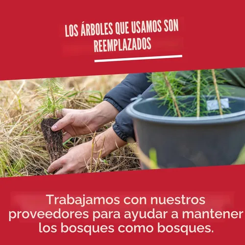 Miniatura 8 de Vanity Fair Servilletas de papel para uso diario, 200 unidades, servilletas desechables hechas suaves y lisas para las comidas diarias