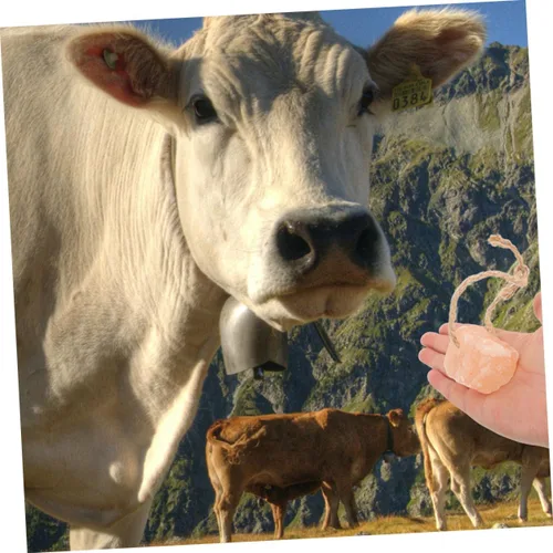 Miniatura 2 de 20 bloques de sal para ganado, enriquecimiento mineral, ganado, cabras y ciervos, apoyan la salud y la vitalidad, fáciles de manejar y distribuir