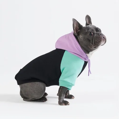 Miniatura 31 de Spark Paws Sudadera con capucha para perro, suéter de primera calidad para perros pequeños, medianos y grandes Trajes cálidos para bulldogs