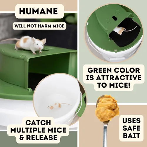 Miniatura 4 de Paquete de 3 trampas humanas para ratones Cubo de trampa para ratones para cubo de 5 galones Trampas humanas para ratones interiores