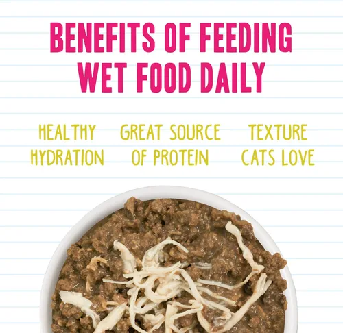 Miniatura 5 de Weruva BFF - Comida húmeda natural para gatos, atún y pollo 4 Eva en salsa, lata de 3 onzas, paquete de 24