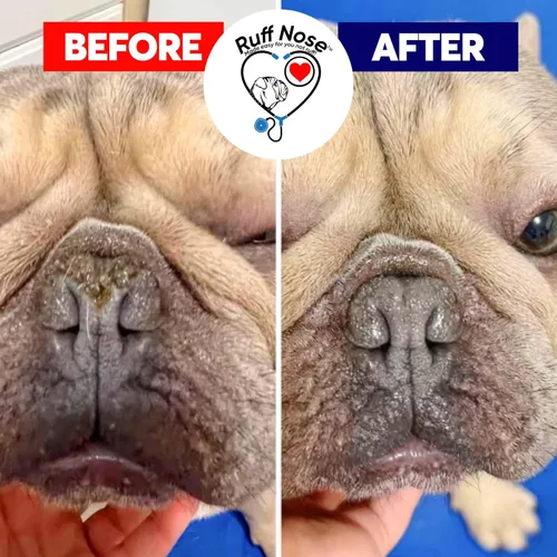 Miniatura 5 de Bálsamo natural para la nariz y las patas del perro, hidratante suave RuffNose para patas y narices secas y agrietadas, ayuda a mantener la piel