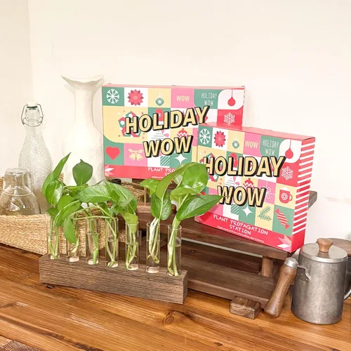 Miniatura 2 de KAXYEW Estación de Propagación de Plantas de Escritorio de Vidrio con Tubo de Ensayo, Terrario de Plantas en Soporte de Madera para Plantas Marrón