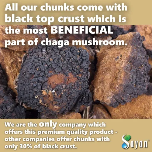 Miniatura 3 de Sayan Hongos Chaga Siberianos Puros en Trozos Crudos con Costra Negra 8 Oz / 223 g – Té Antioxidante Premium Recolectado en la Naturaleza para Apoyo
