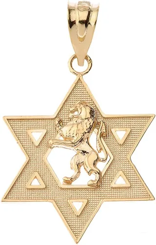 Colgante hebreo certificado de oro de 14 k Israel León de Judá Magen David Star Hebreo